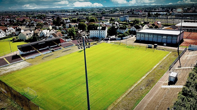 足的守门员 足的守门员