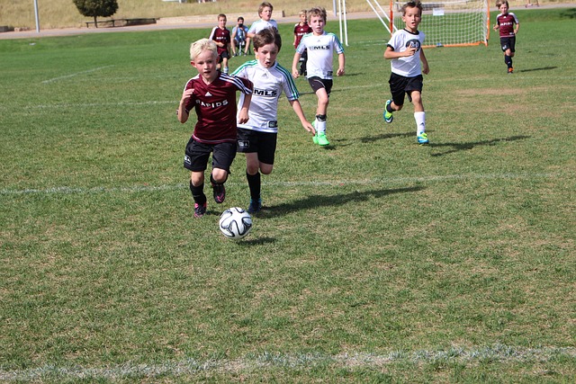 系将是伊朗 系将是伊朗