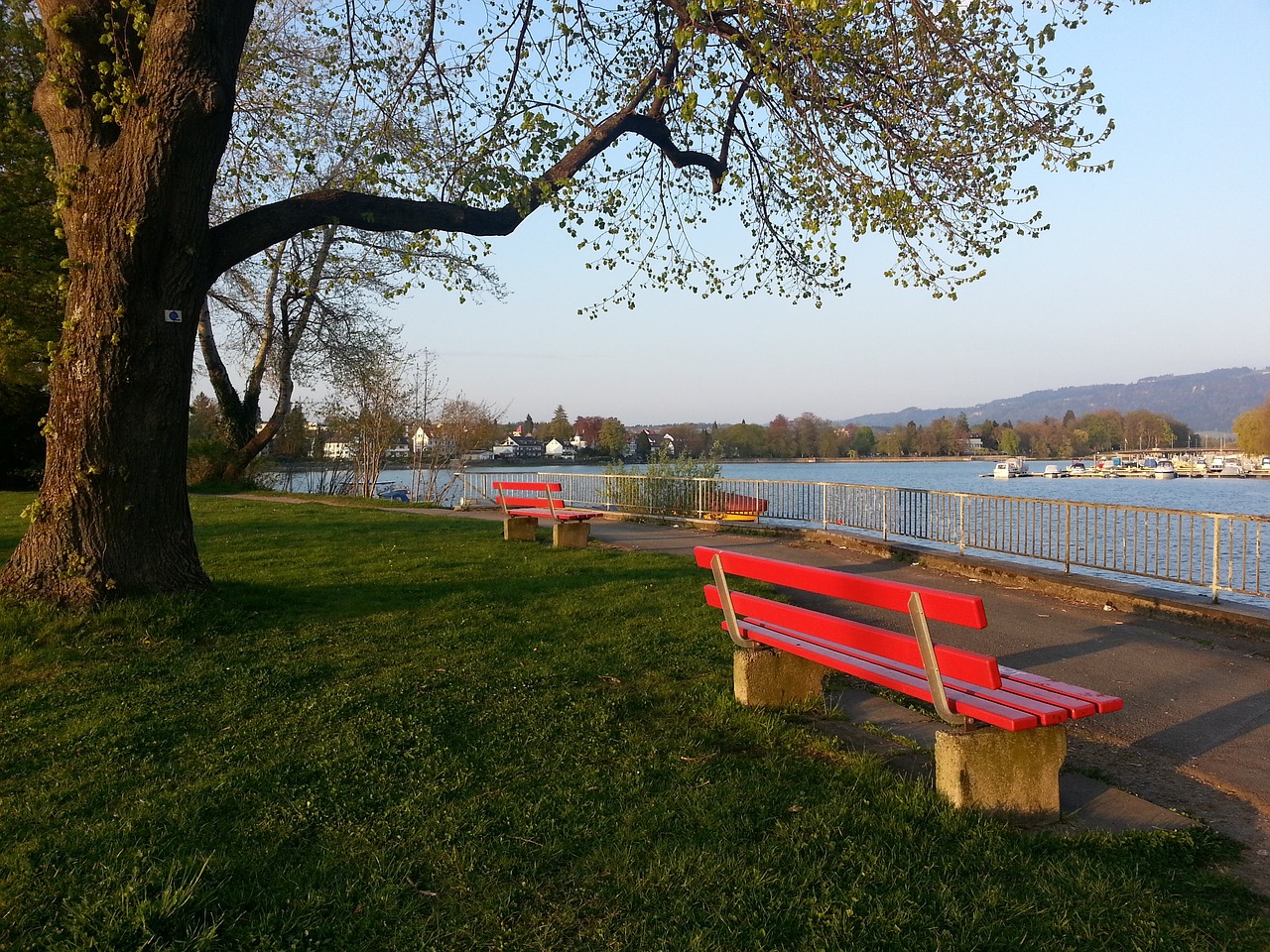 并最终赢得 并最终赢得