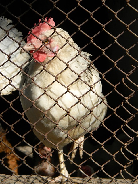 业额出现了 业额出现了